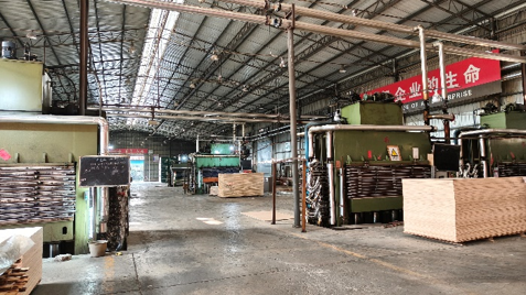 Mingyuan Wood plywood factory Guangxi China